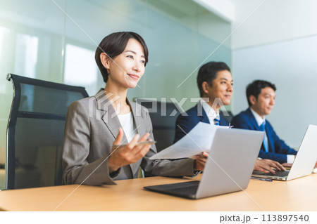 会議をするビジネスパーソン：ビジネスシーン 113897540