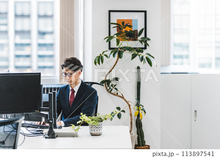 オフィスのビジネスシーン 113897541