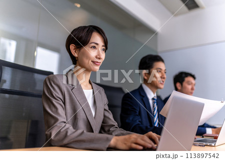 会議をするビジネスパーソン：ビジネスシーン 113897542