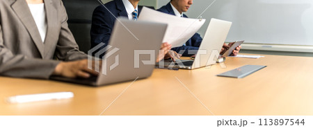 会議をするビジネスパーソン：ビジネスシーン 113897544