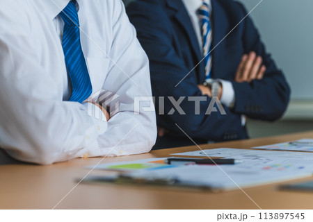 ビジネスパーソン：ビジネスシーン 113897545