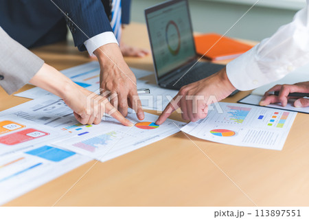 仕事中のビジネスパーソン：ビジネスシーン 113897551