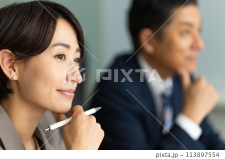 会議をするビジネスパーソン：ビジネスシーン 113897554