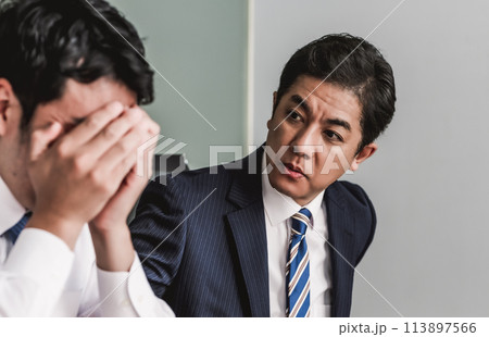 ビジネスパーソン:ビジネスシーン ビジネスパーソン:ビジネスシーン 113897566