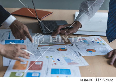 仕事中のビジネスパーソン：ビジネスシーン 113897582