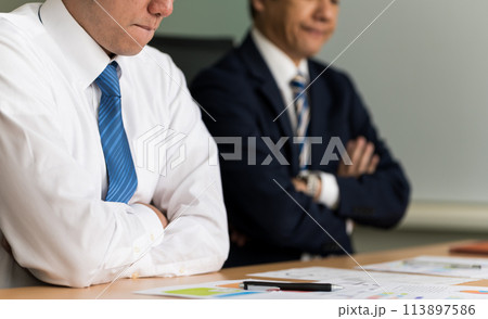 ビジネスパーソン：ビジネスシーン 113897586