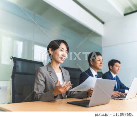 会議をするビジネスパーソン：ビジネスシーン 113897600