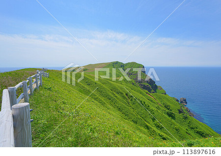 桃岩展望台コース 113897616