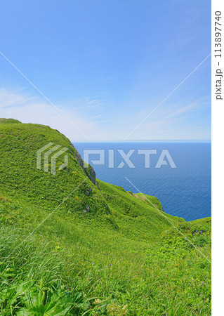 桃岩展望台コース 113897740