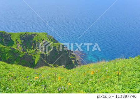 桃岩展望台コース 113897746