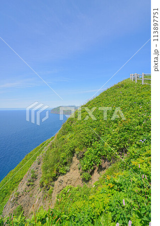 桃岩展望台コース 113897751