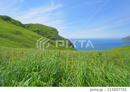 桃岩展望台コース 113897785