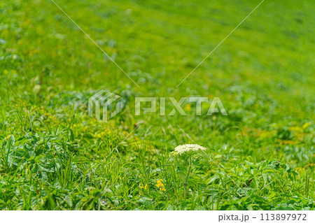 桃岩展望台コース 桃岩展望台コース 113897972