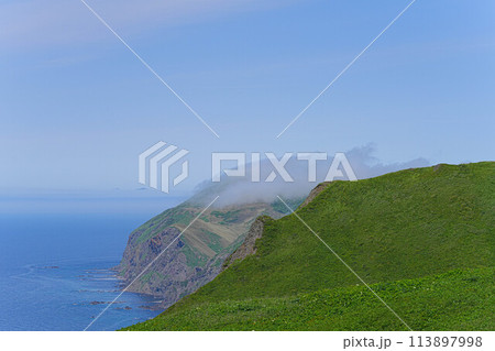 桃岩展望台コース 桃岩展望台コース 113897998