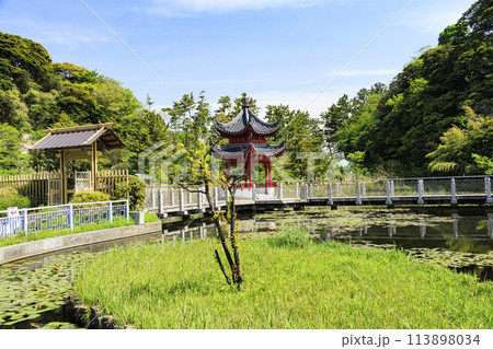 新緑に包まれた神奈川県横浜市本牧市民公園の横浜上海友好園の春 新緑に包まれた神奈川県横浜市本牧市民公園の横浜上海友好園の春 113898034