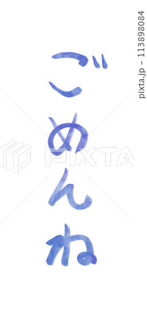 手書きのテキスト 113898084
