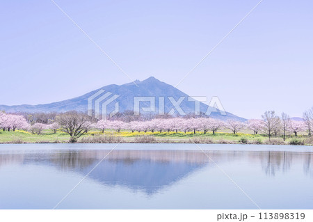 春の筑波山　母子島遊水地にて 113898319