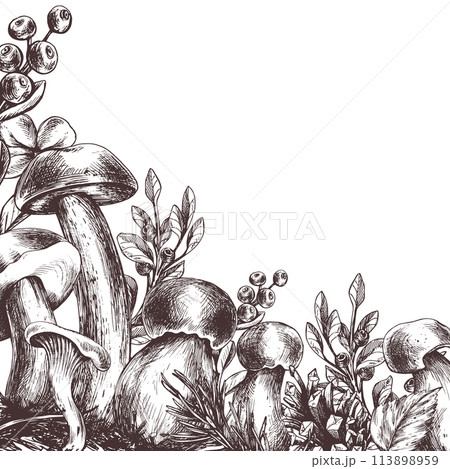 Forest mushrooms, boletus, chanterelles and blueberries, lingonberries, twigs, cones, leaves. Graphic illustration hand drawn in black ink. Frame, border, template EPS vector. Forest mushrooms, boletus, chanterelles and blueberries, lingonberries, twigs, cones, leaves. Graphic illustration hand drawn in black ink. Frame, border, template EPS vector. 113898959
