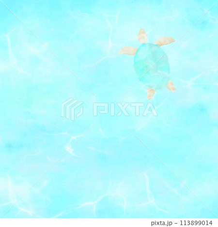 ウミガメが海を泳ぐ様子を上から眺めているイラスト。リゾート感あふれる背景素材。 113899014