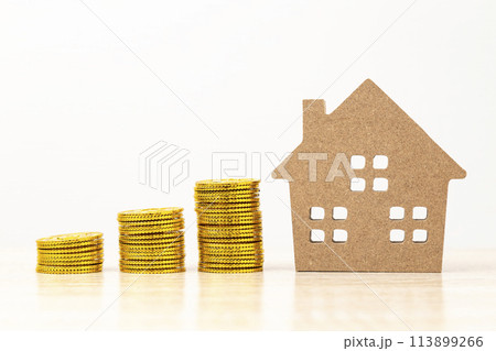 住宅模型とおもちゃの金貨 住宅模型とおもちゃの金貨 113899266