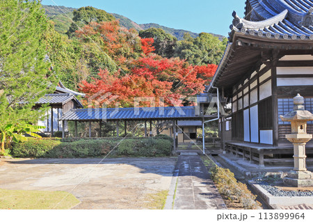 福岡県北九州市にある黄檗宗寺院福聚寺の紅葉 113899964