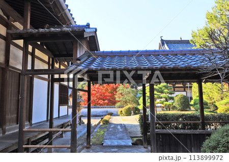 福岡県北九州市にある黄檗宗寺院福聚寺の紅葉 113899972