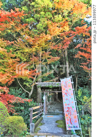 福岡県北九州市にある黄檗宗福聚寺境内の紅葉 113899977