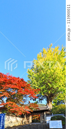 福岡県北九州市にある黄檗宗寺院福聚寺紅葉と裏門 福岡県北九州市にある黄檗宗寺院福聚寺紅葉と裏門 113900011