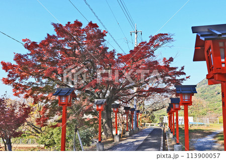 福岡県北九州市小倉北区にある神社足立山妙見宮の秋 福岡県北九州市小倉北区にある神社足立山妙見宮の秋 113900057