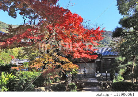 福岡県北九州市にある黄檗宗寺院福聚寺秋の境内 113900061