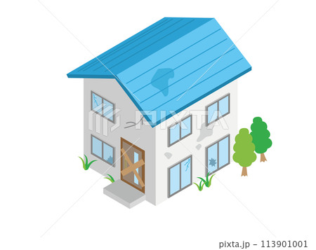 荒れ果てた空き家 荒れ果てた空き家 113901001