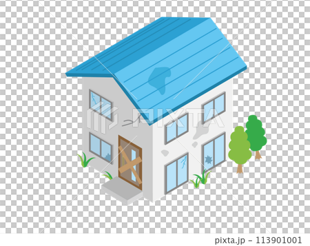 荒れ果てた空き家 荒れ果てた空き家 113901001