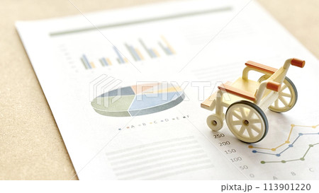 グラフの入った資料と車いすの小物ななめ後ろ 113901220