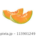 オレンジ色のメロン 113901249