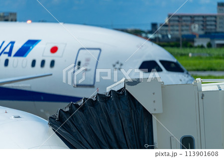 沖縄県　宮古島市　リゾート　島　夏休み　飛行機　宮古空港　午前　雲　全日空　ボーイング　コックピット 113901608