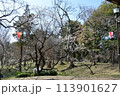 上田城跡公園　桜まつり 113901627