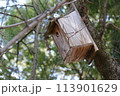 上田城跡公園　長野県　桜まつり　小さな小鳥箱 113901629