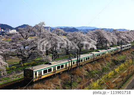 白石川堤一目千本桜と東北本線 白石川堤一目千本桜と東北本線 113901718