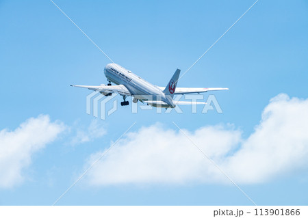 沖縄県　宮古島市　リゾート　島　夏休み　飛行機　宮古空港　午前　雲　日本航空　コックピット 113901866