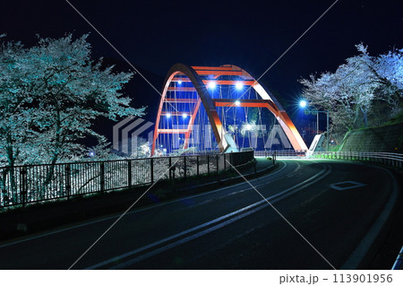 瑞光寺橋と夜桜 瑞光寺橋と夜桜 113901956