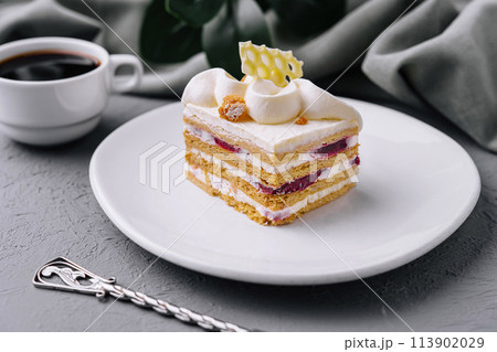 Delectable layered cake on elegant white plate 113902029