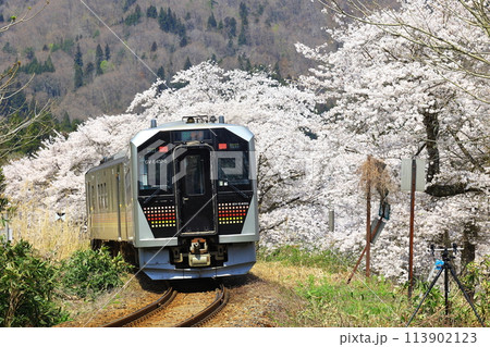 桜の中を行く磐越西線 113902123