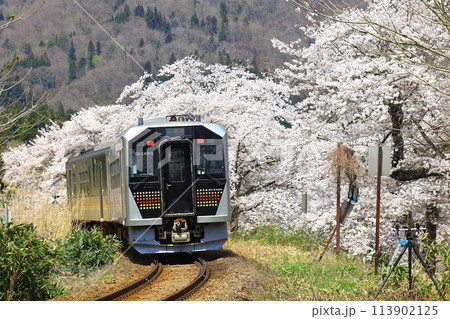 桜の中を行く磐越西線 113902125