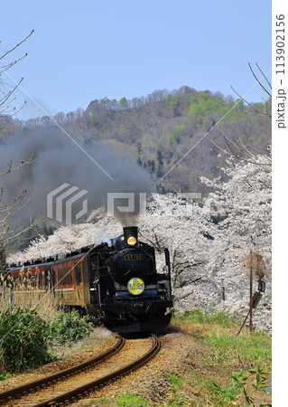 桜の中を行く磐越西線のばんえつ物語号 桜の中を行く磐越西線のばんえつ物語号 113902156