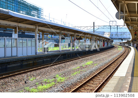 北陸本線の敦賀駅から米原駅までの車窓風景(2022年夏) 113902508