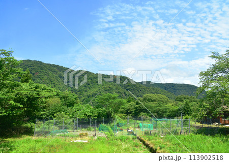 北陸本線の敦賀駅から米原駅までの車窓風景(2022年夏) 北陸本線の敦賀駅から米原駅までの車窓風景(2022年夏) 113902518