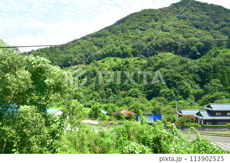 北陸本線の敦賀駅から米原駅までの車窓風景(2022年夏) 113902525