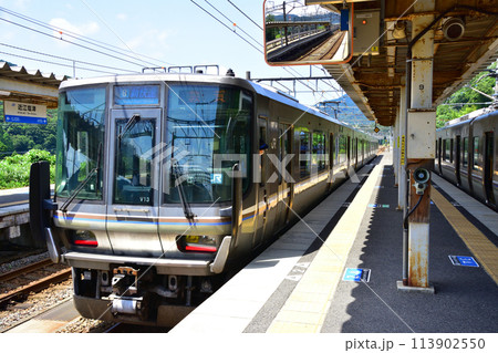 北陸本線の敦賀駅から米原駅までの車窓風景(2022年夏) 113902550