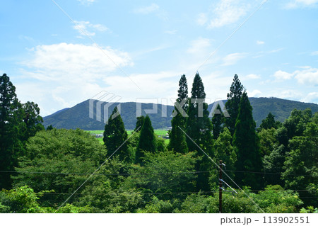 北陸本線の敦賀駅から米原駅までの車窓風景(2022年夏) 113902551
