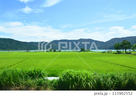 北陸本線の敦賀駅から米原駅までの車窓風景(2022年夏) 113902552